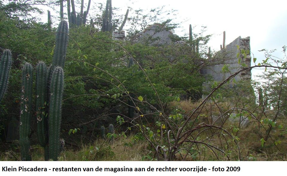 29. Klein Piscadera restanten magasina 2009